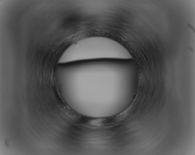 X0000093170178200709261103