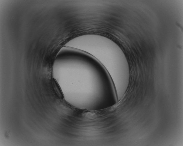 X0000093170180200709261103