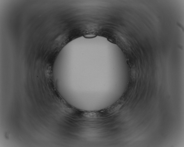 X0000093170181200709261103