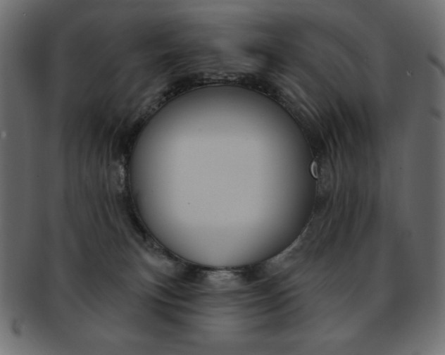 X0000093170183200709261103