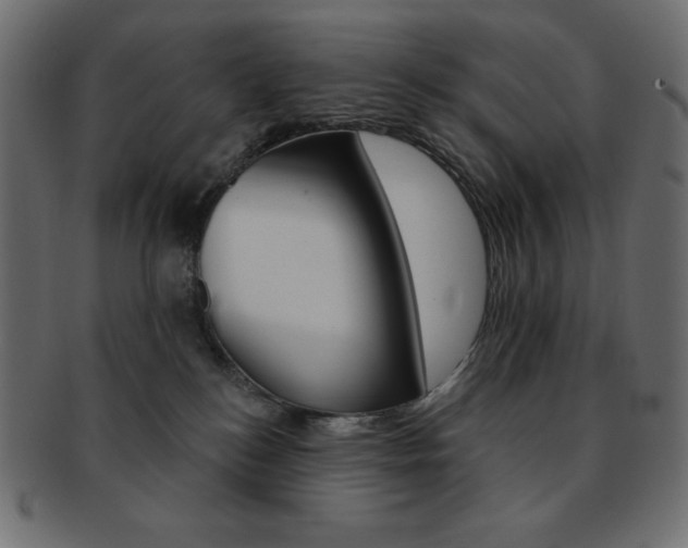 X0000093170184200709261103