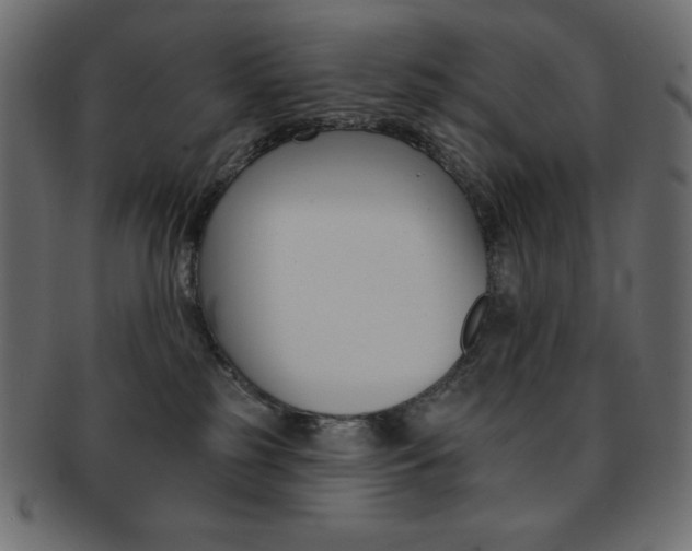 X0000093170185200709261103