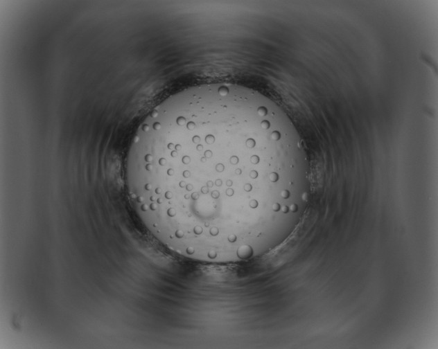 X0000093170187200709261104