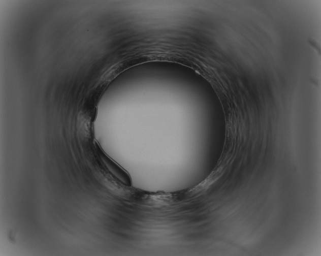 X0000093170188200709261104