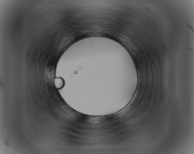X0000093170190200709261104