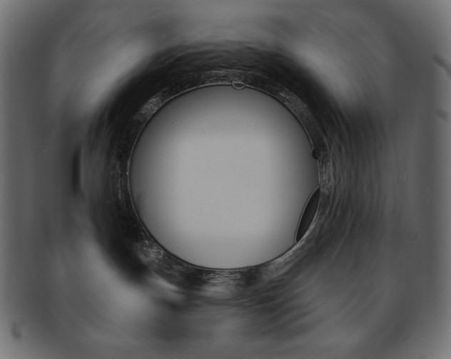 X0000093170191200709261104