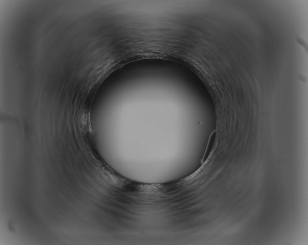 X0000093170192200709261104