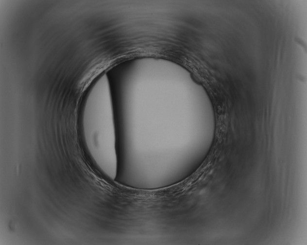 X0000093170194200709261103