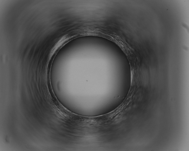 X0000093170195200709261103