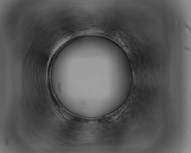 X0000093170196200709261103