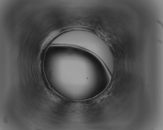 X0000093170197200709261103