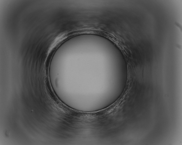 X0000093170198200709261103
