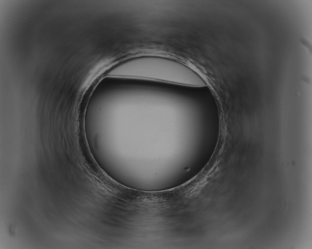 X0000093170199200709261103