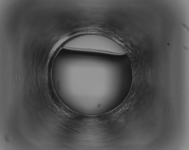 X0000093170200200709261103