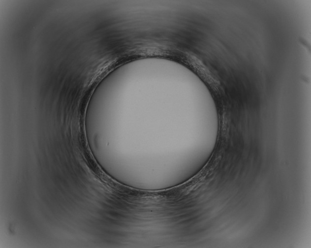 X0000093170202200709261103