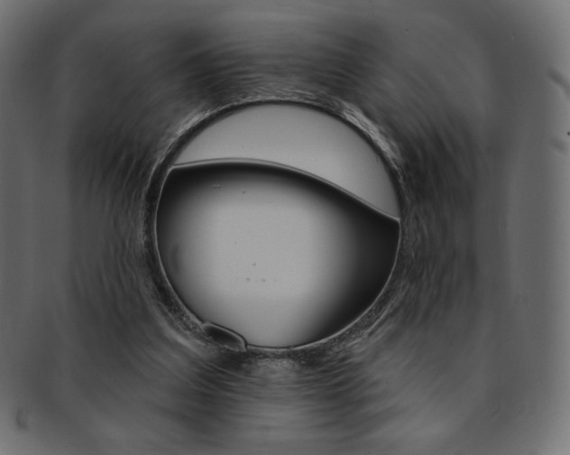 X0000093170203200709261103