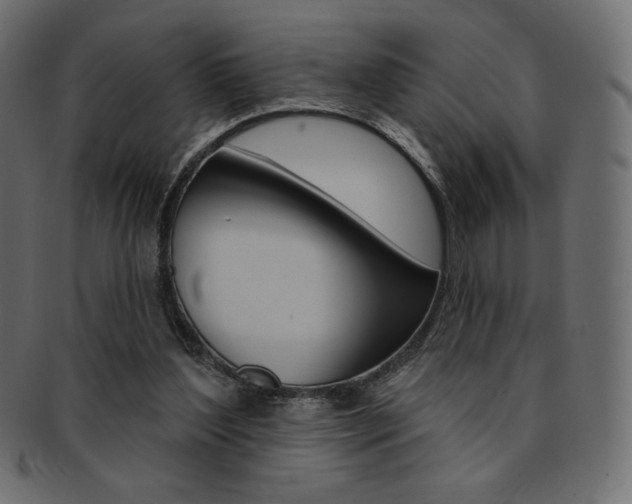 X0000093170204200709261103