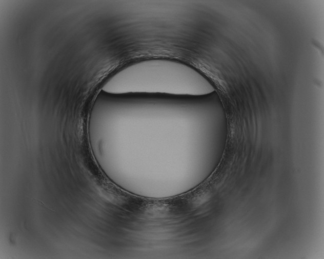 X0000093170206200709261103