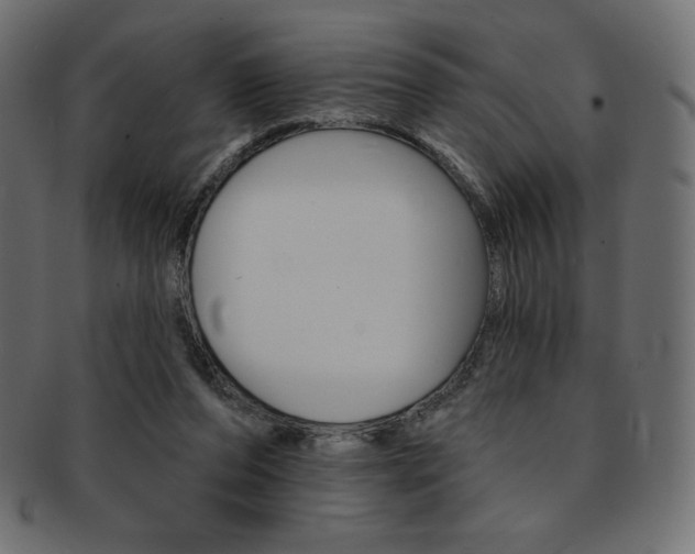 X0000093170208200709261102