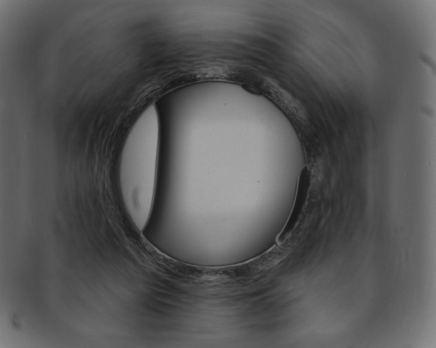 X0000093170209200709261102
