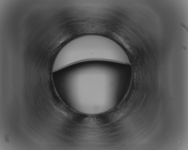 X0000093170211200709261102