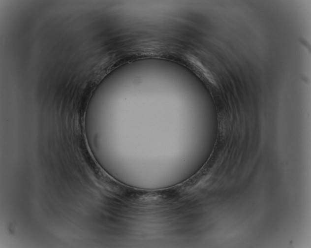 X0000093170213200709261102
