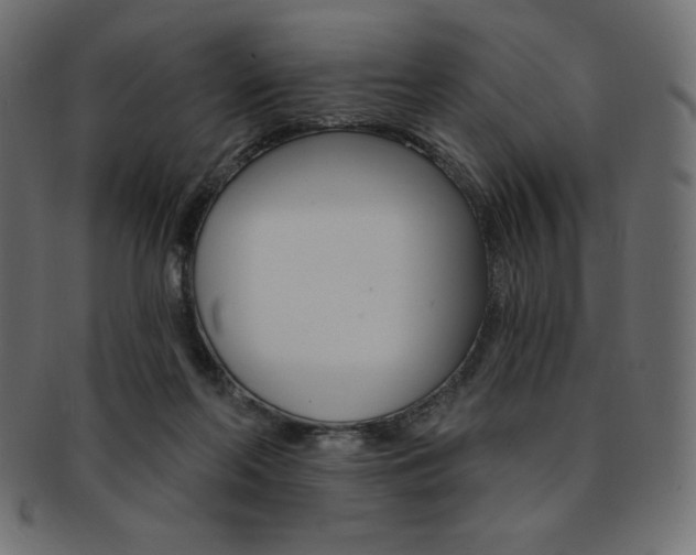 X0000093170214200709261102
