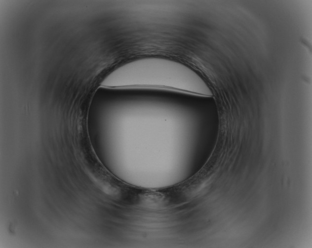 X0000093170215200709261102