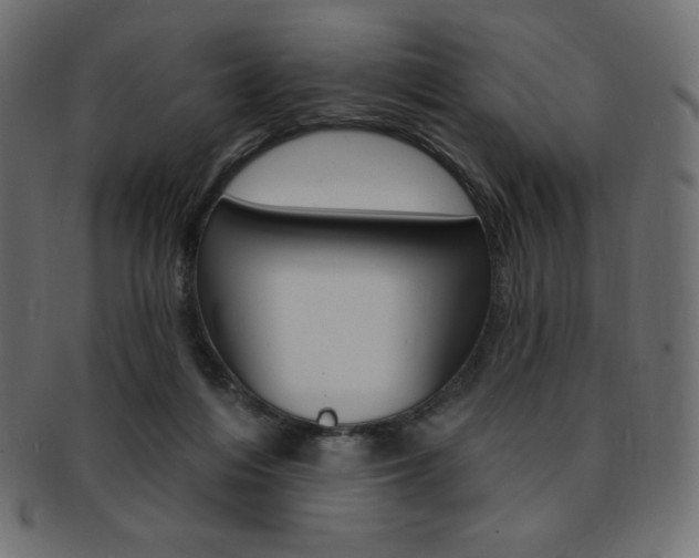 X0000093170216200709261102