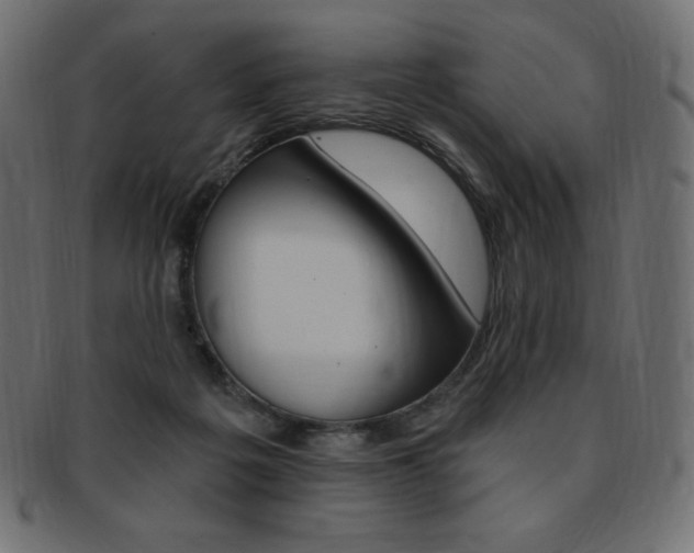 X0000093170217200709261102