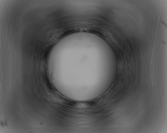 X0000093170218200709261102
