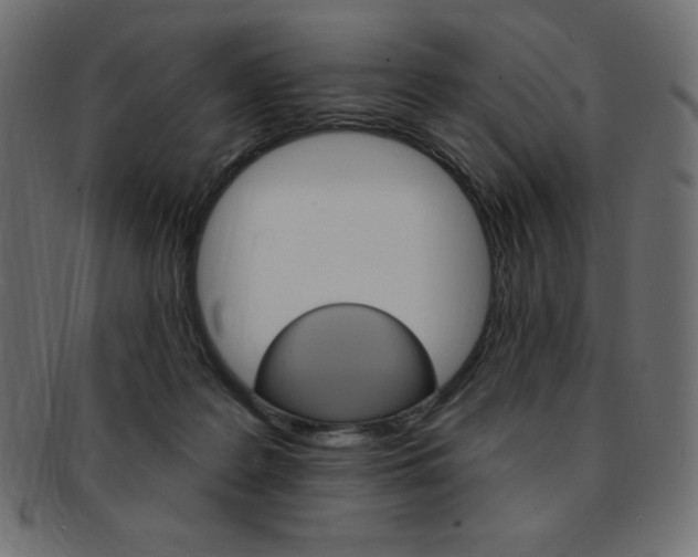X0000093170219200709261102