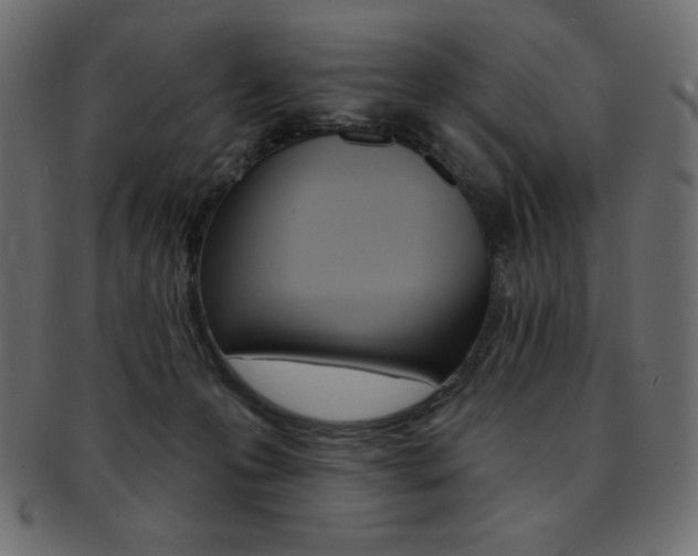 X0000093170223200709261102