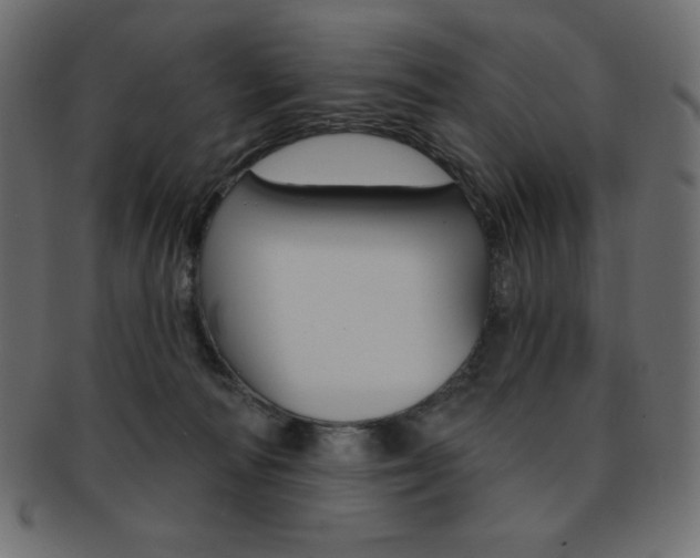 X0000093170226200709261102