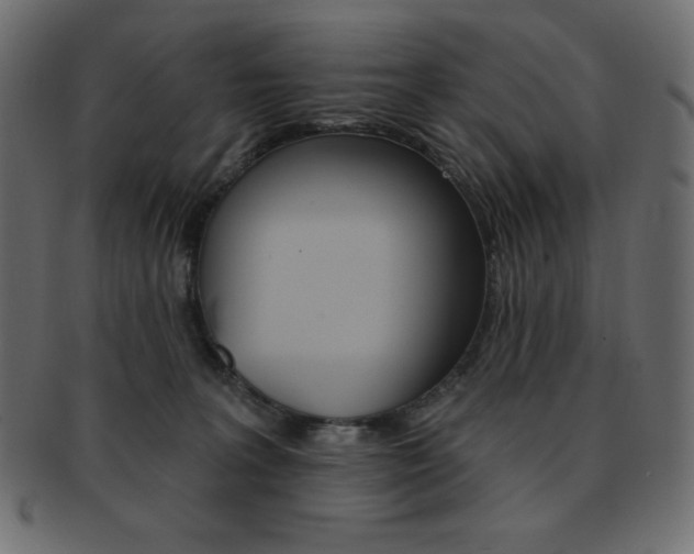 X0000093170227200709261102