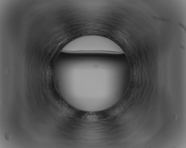 X0000093170228200709261102