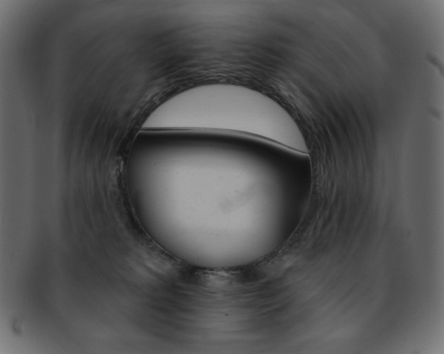 X0000093170229200709261102