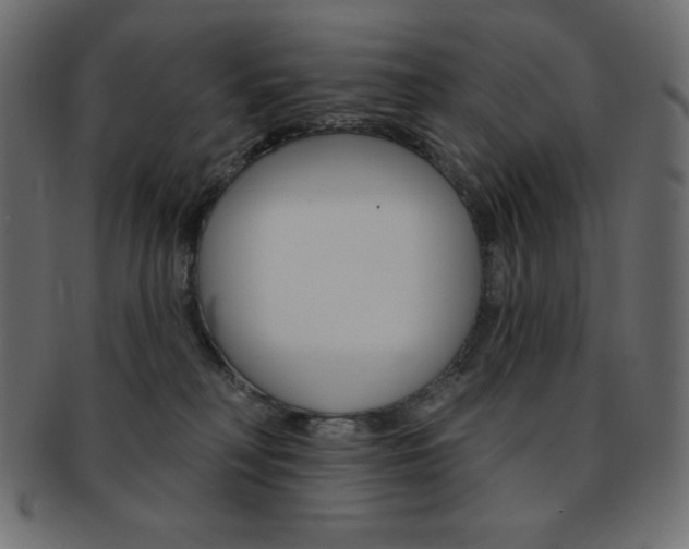 X0000093170230200709261102