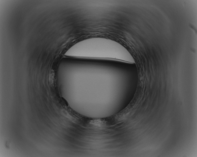 X0000093170231200709261102