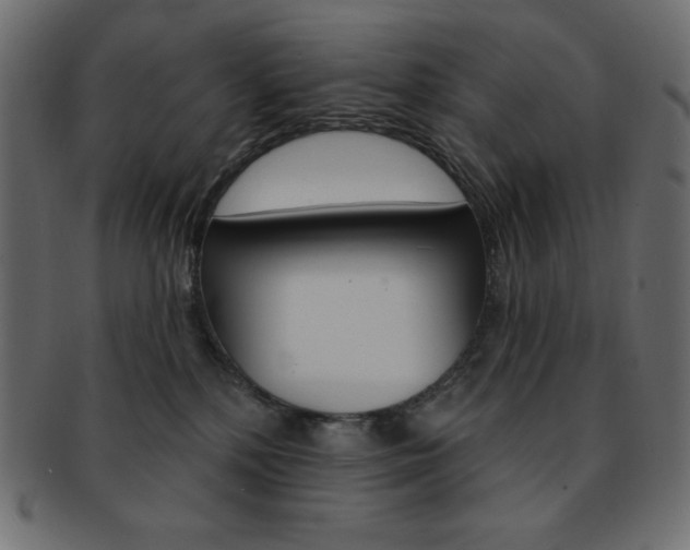 X0000093170232200709261102