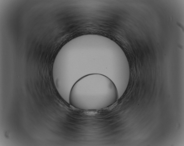 X0000093170233200709261102