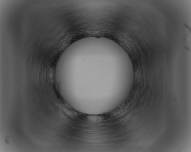 X0000093170234200709261102