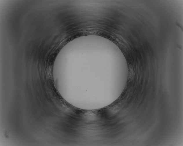 X0000093170236200709261102