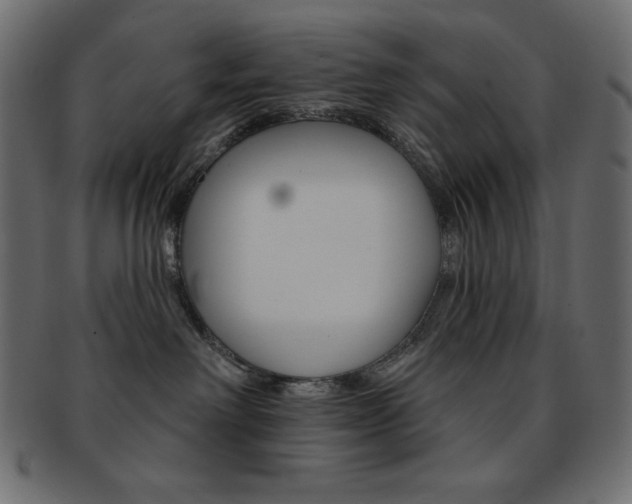 X0000093170238200709261102