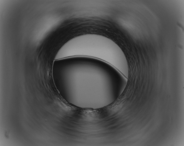 X0000093170239200709261102