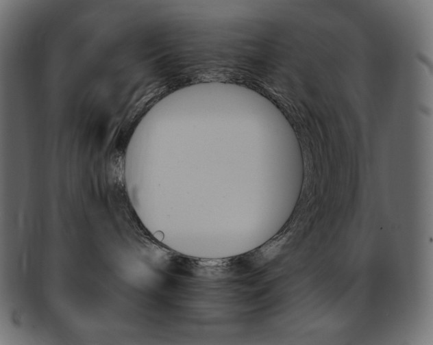 X0000093170240200709261102