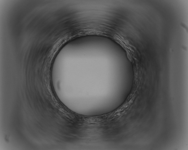 X0000093170241200709261101