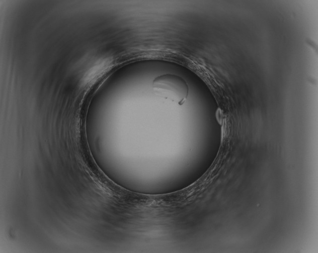 X0000093170243200709261101