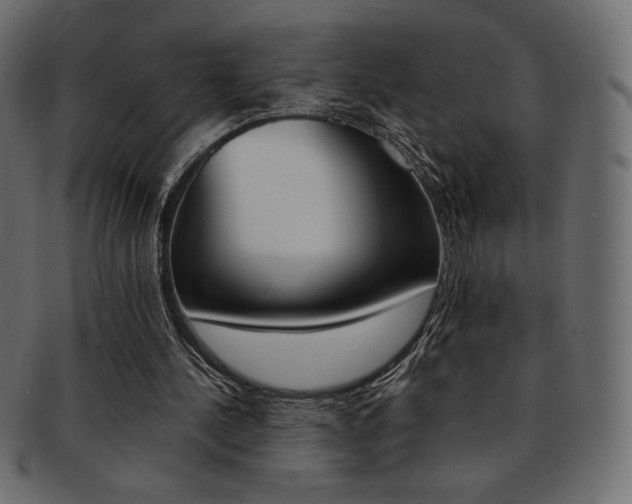 X0000093170244200709261101