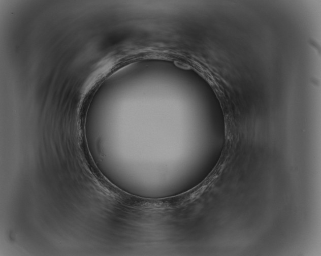 X0000093170245200709261101